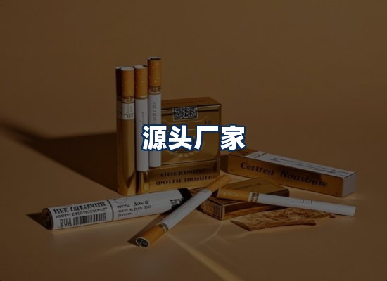 专业团队办公环境
